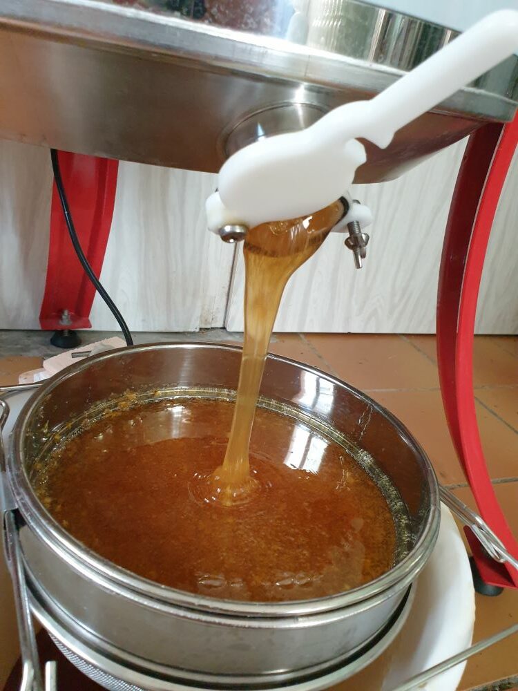 Le miel de garrigue arrive